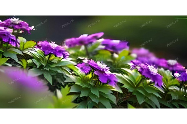 杭州夜享汗蒸按摩，桑拿约茶舒筋骨